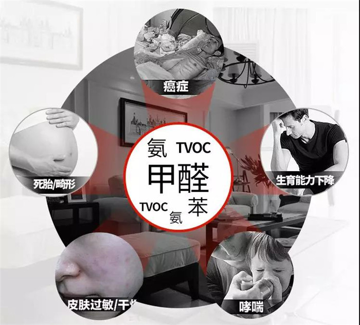 杭州办公室摆放什么绿植可以除有毒气体? 杭州办公室摆放什么绿植可以除有毒气体?