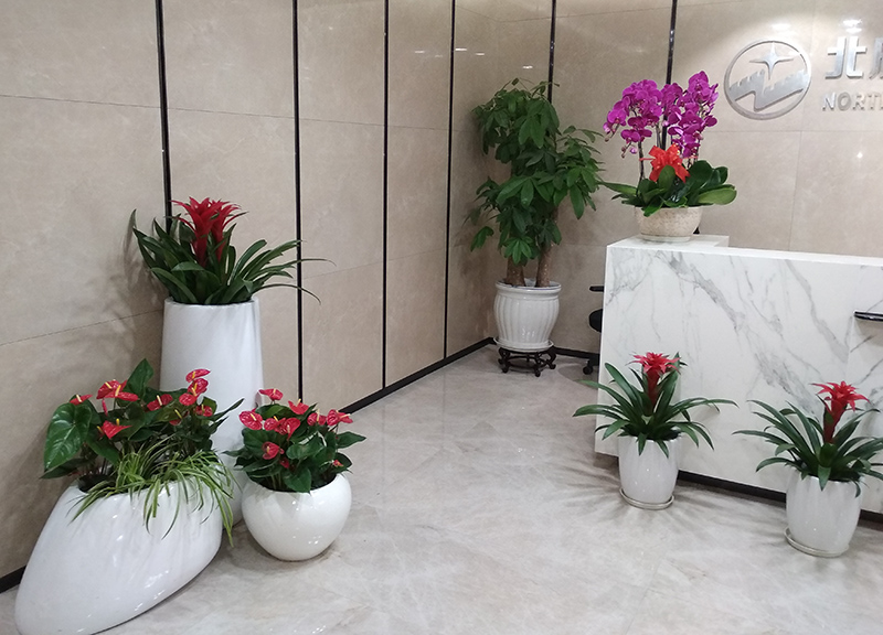 办公室绿植租赁之前台绿植摆放讲究